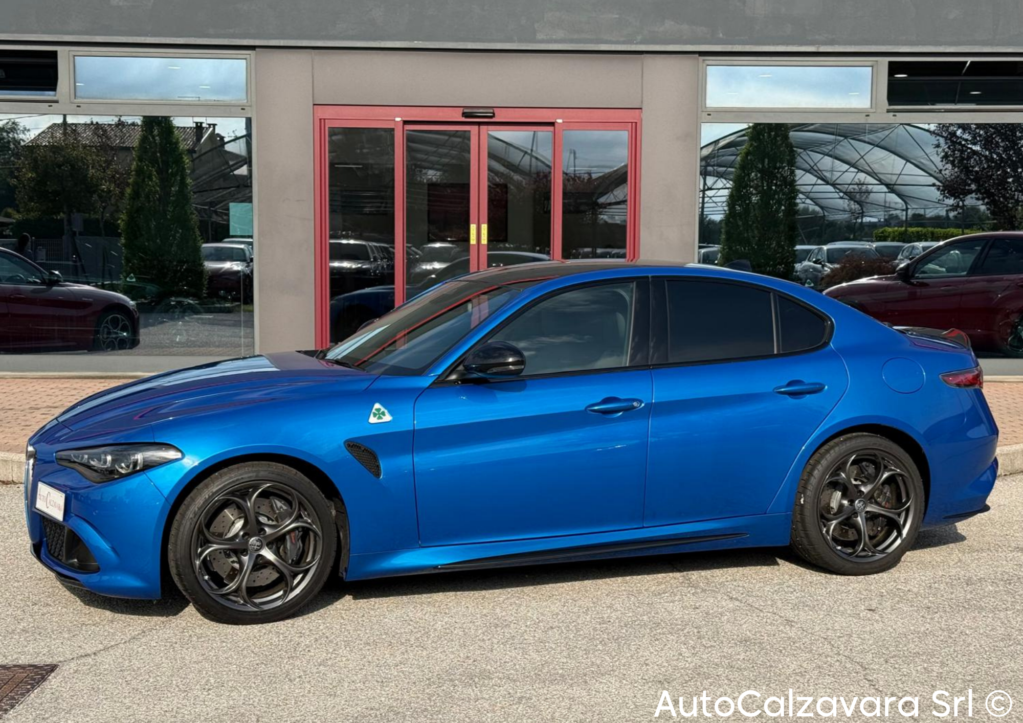 Alfa Romeo Giulia 2.9 V6 Bi-Turbo AT8 Quadrifoglio / BLU MISANO / R7689787