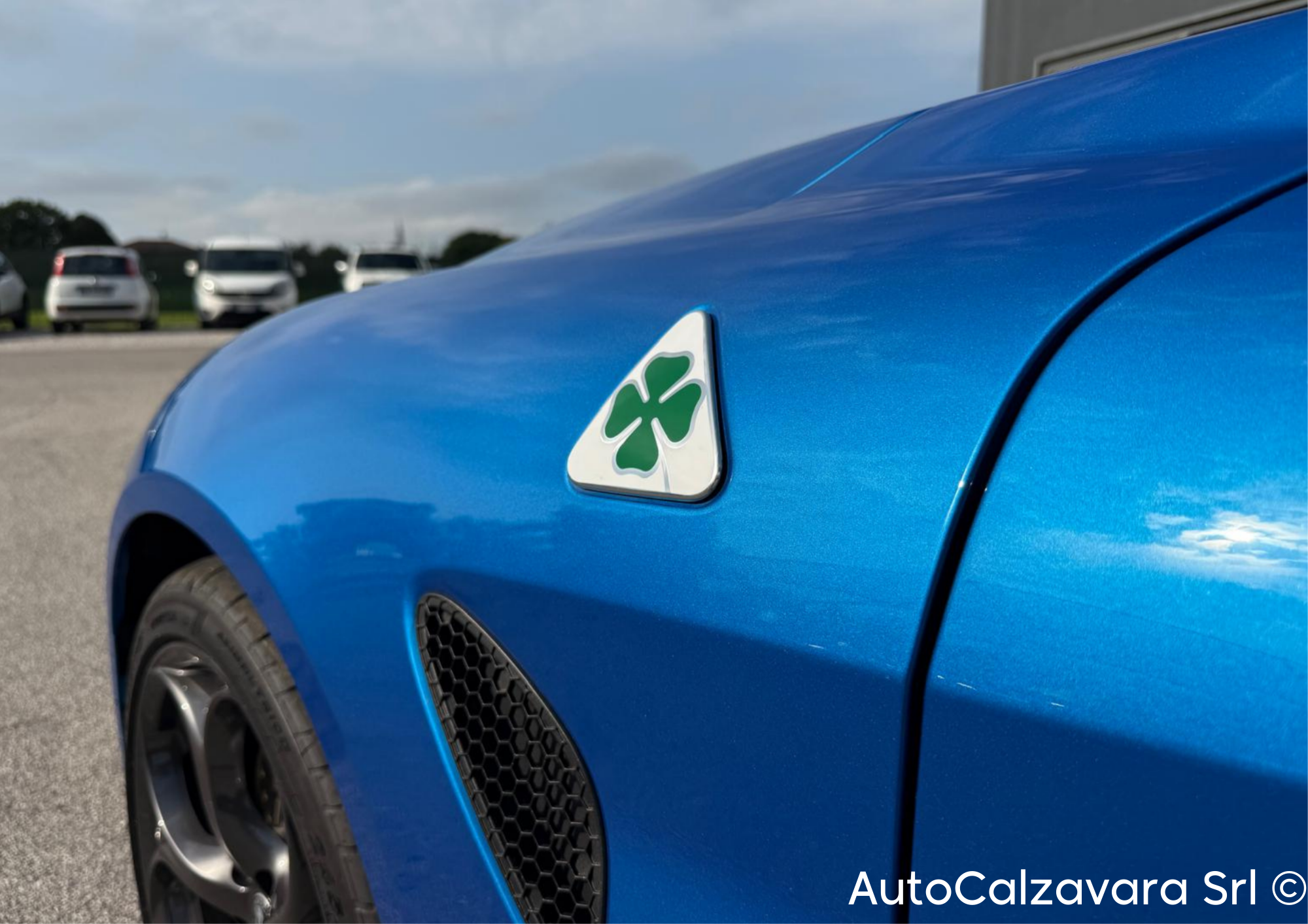 Alfa Romeo Giulia 2.9 V6 Bi-Turbo AT8 Quadrifoglio / BLU MISANO / R7689787