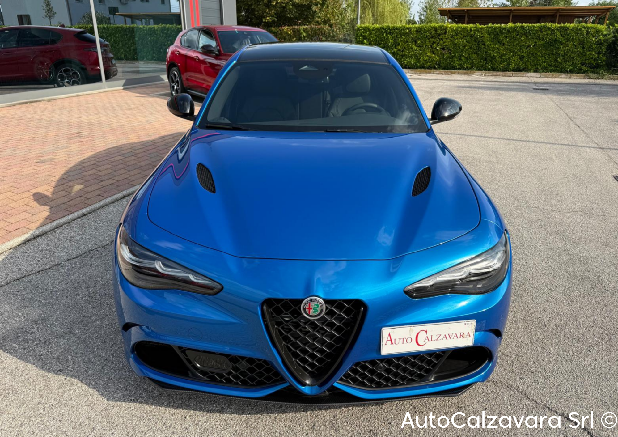 Alfa Romeo Giulia 2.9 V6 Bi-Turbo AT8 Quadrifoglio / BLU MISANO / R7689787