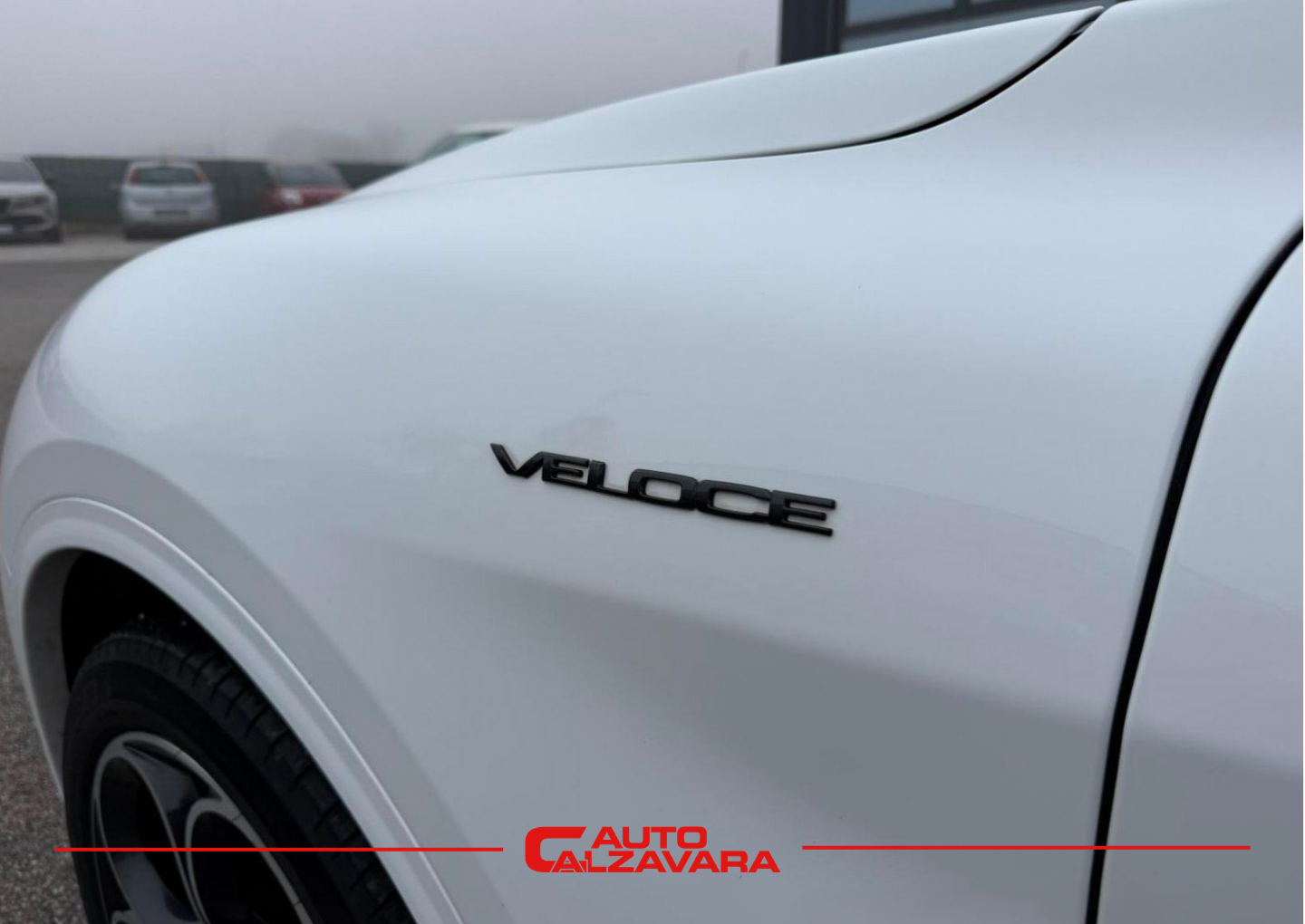 Alfa Romeo Stelvio 2.2 Turbodiesel 210 CV AT8 Q4 Veloce / BIANCO ALFA / GH406MD