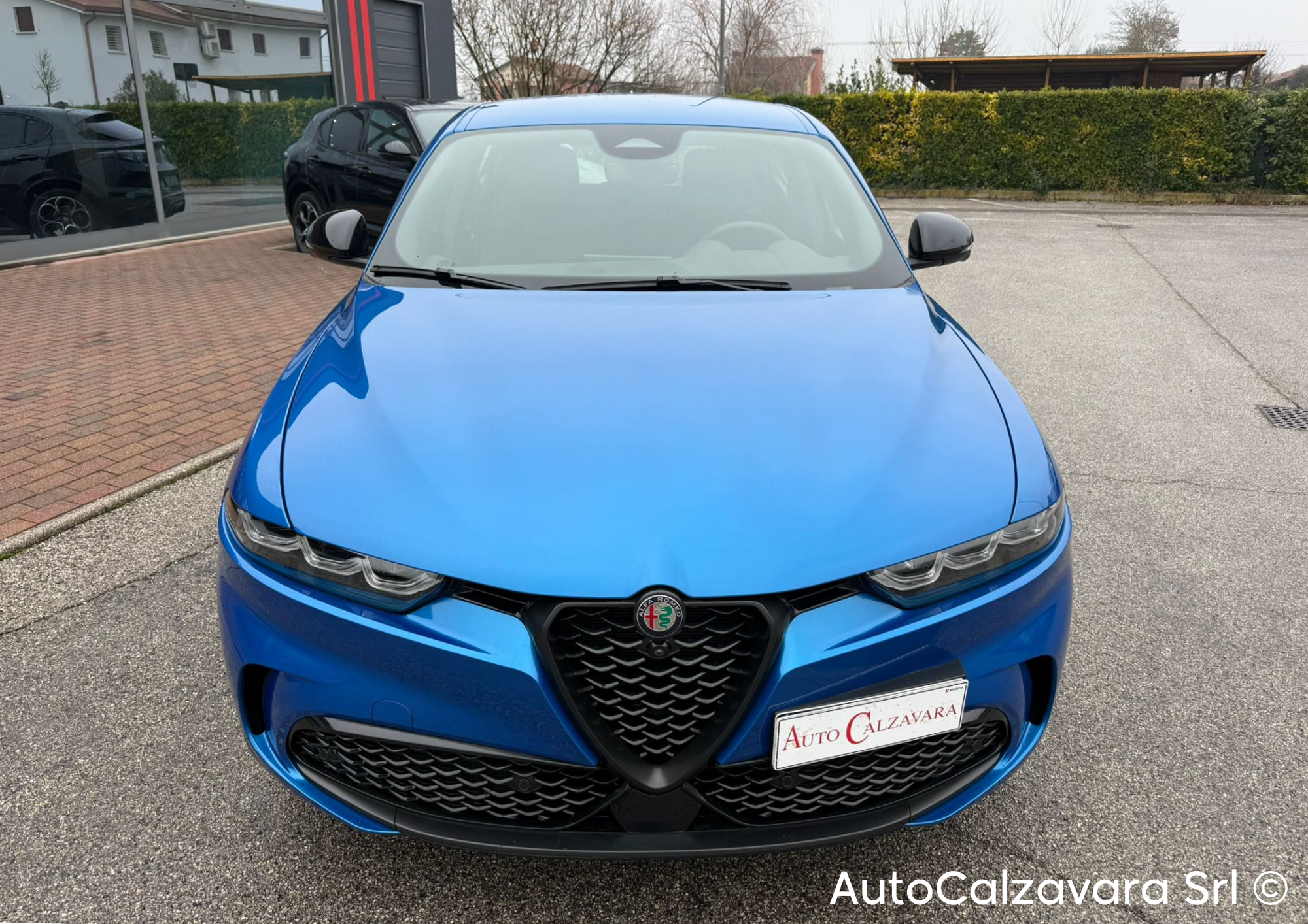 Alfa Romeo Tonale 1.6 diesel 130 CV TCT6 Sprint / BLU MISANO / GS281TY