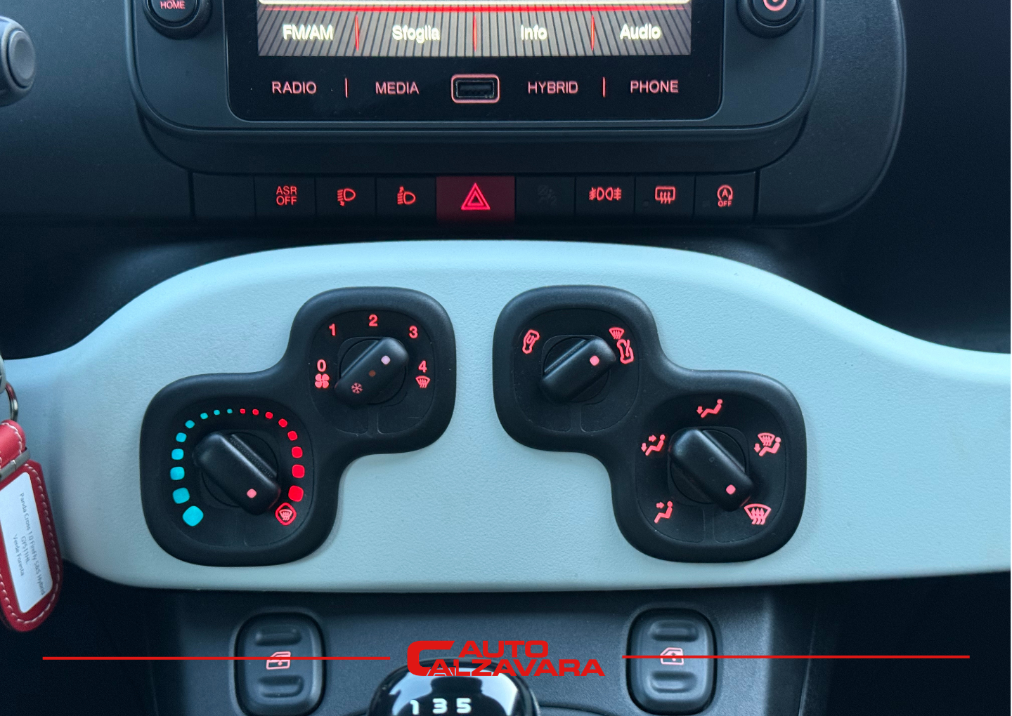 Fiat Panda Cross 1.0 FireFly S&S Hybrid / VERDE FORESTA / GY627XP