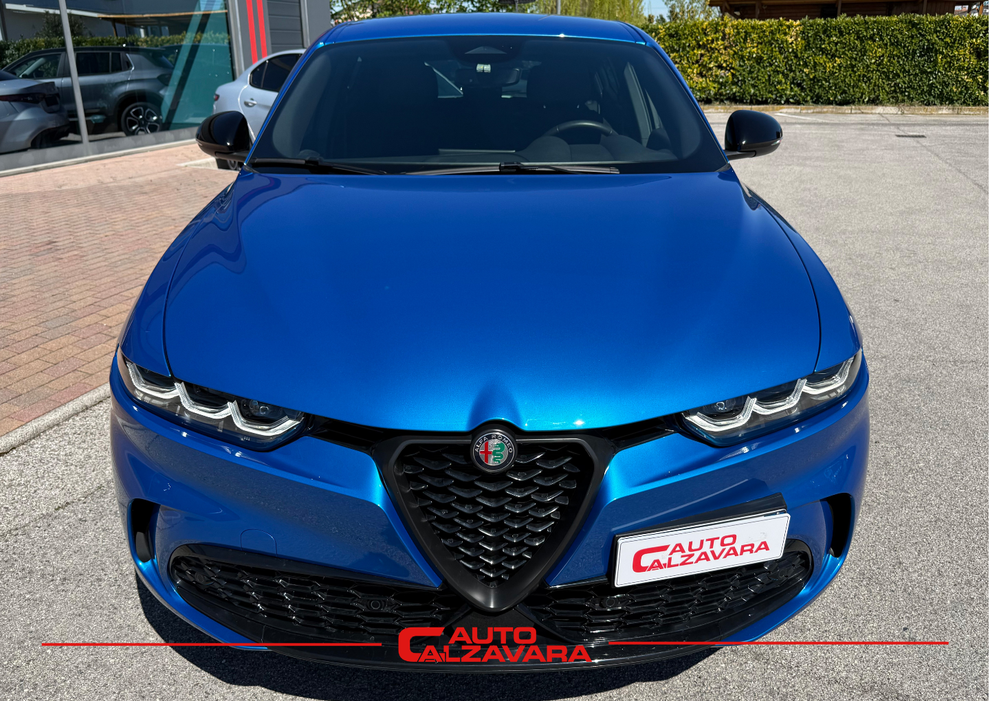 Alfa Romeo Tonale 1.3 280 CV PHEV AT6 Q4 Veloce / BLU MISANO / GN159VT