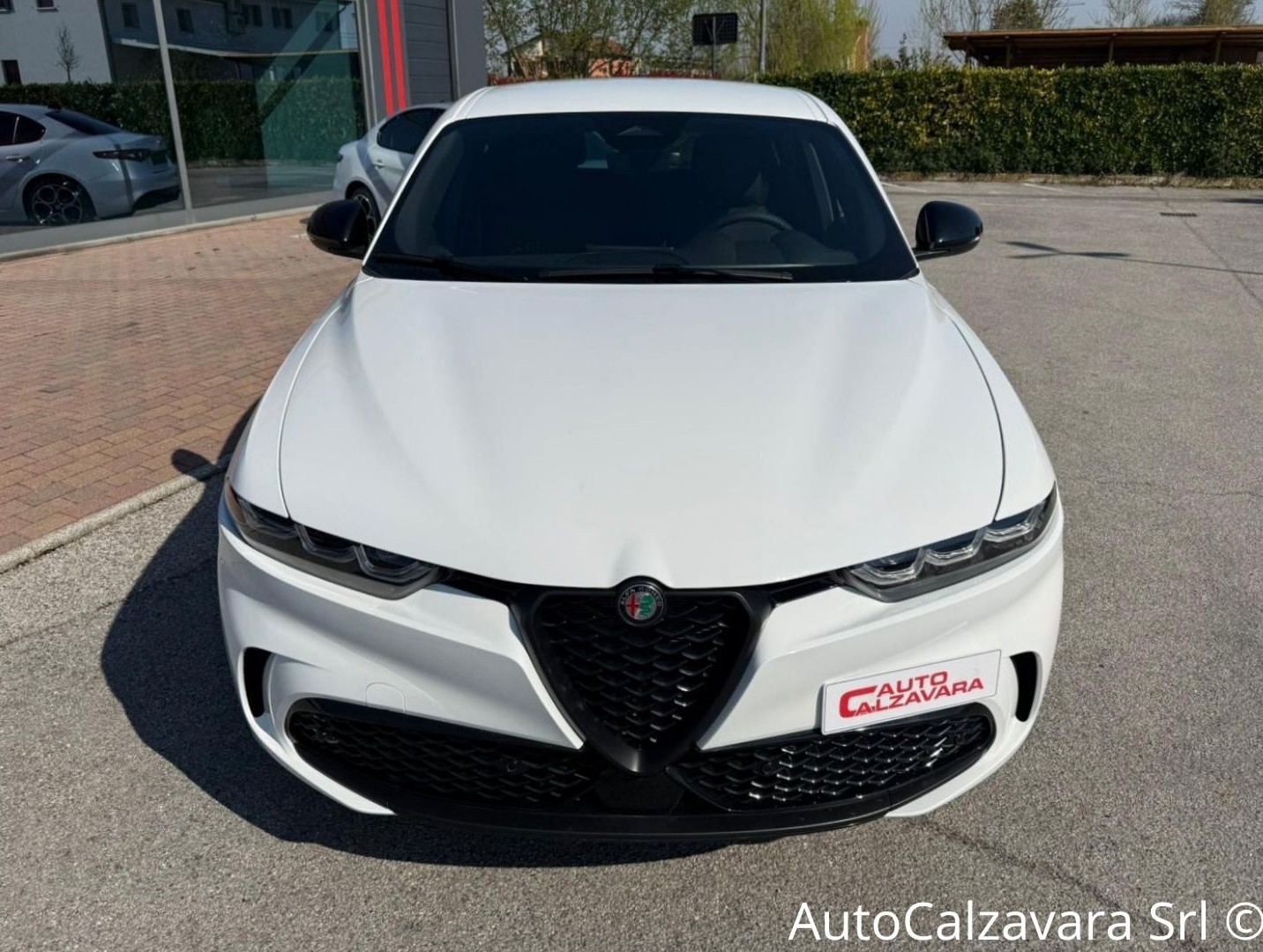 Alfa Romeo Tonale 1.6 diesel 130 CV TCT6 Veloce / BIANCO ALFA / S3108256