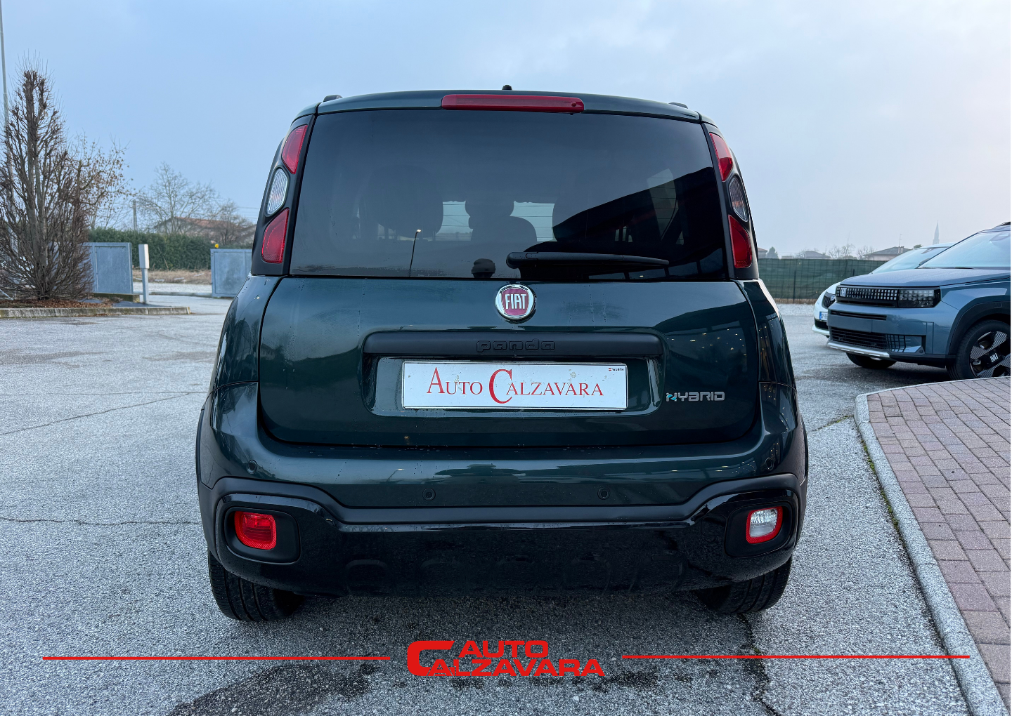 Fiat Panda Cross 1.0 FireFly S&S Hybrid / VERDE FORESTA / GY627XP
